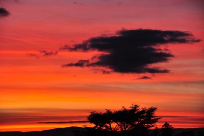 Silhouette trees against dramatic sky during sunset