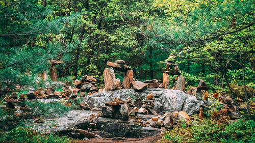 Stack of rocks in forest