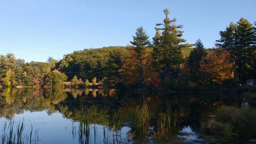 Scenic view of lake against clear sky