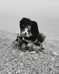 Portrait of dog on beach