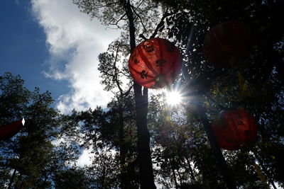 Low angle view of trees against sky