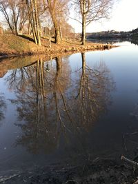 Reflection of bare trees in lake against sky