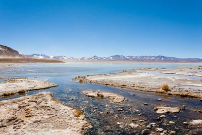 Scenic view of sea against clear blue sky