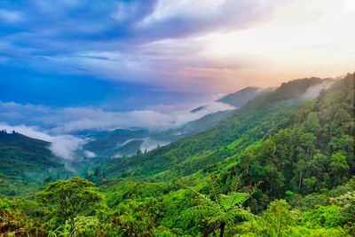 Scenic view of kayangan hills with blue sky in rainforest kerinci , indonesia