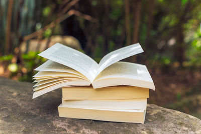 Close-up of books