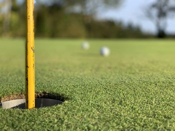 Close-up of yellow ball on grassland