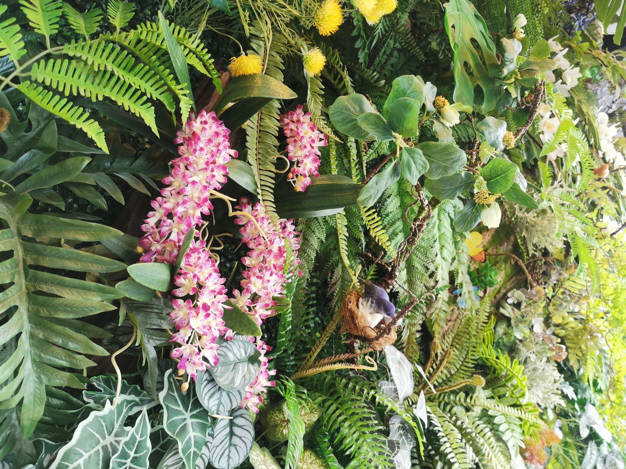 CLOSE-UP OF FRESH PINK FLOWERING PLANTS