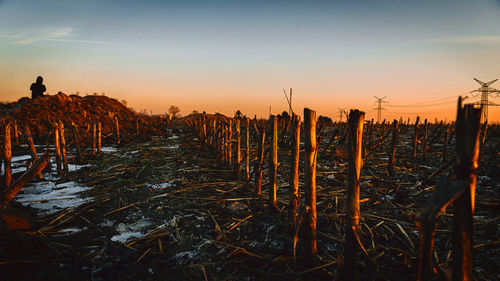 Scenic view of field against sky during sunset