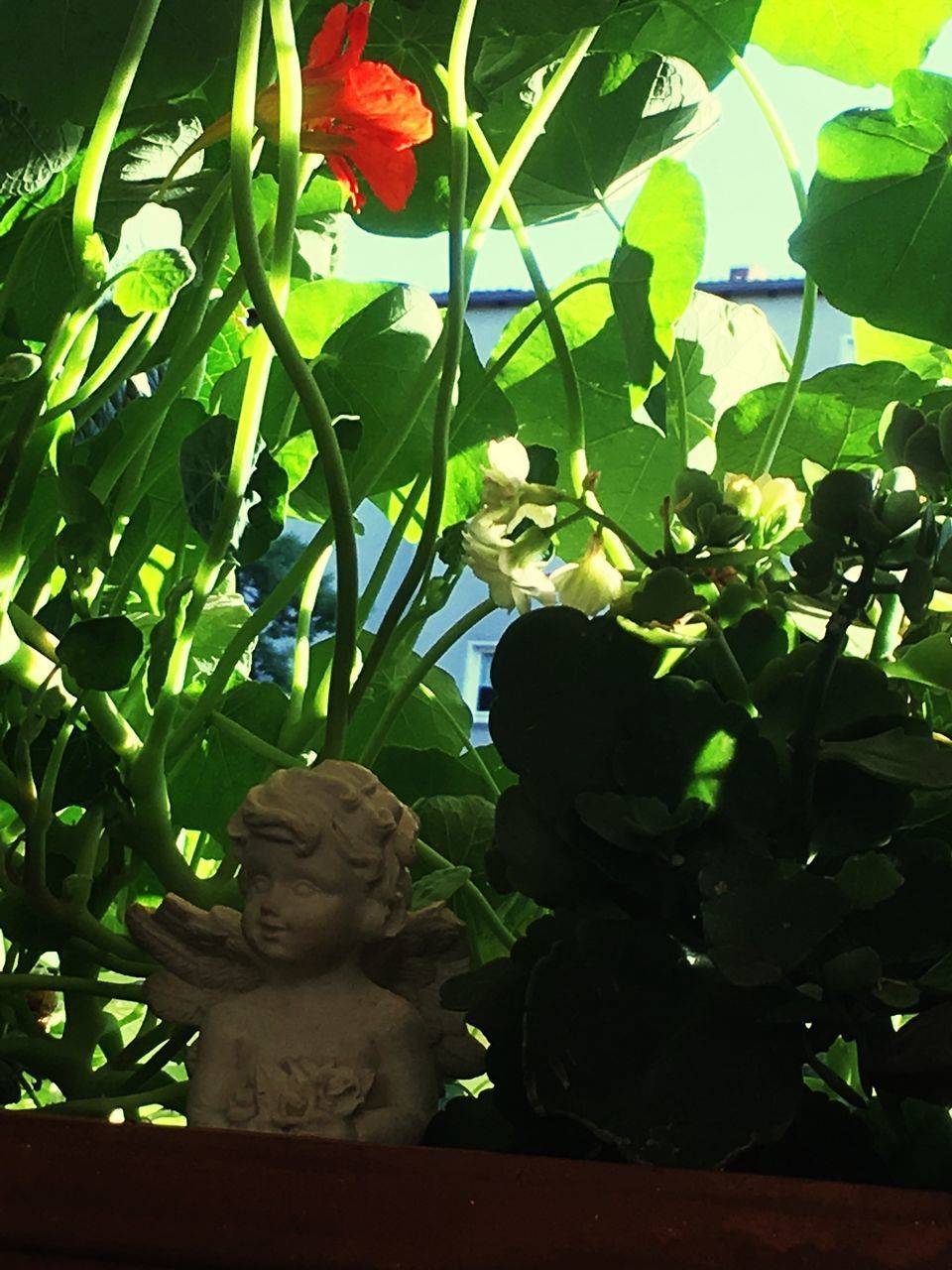 CLOSE-UP OF BUDDHA STATUE