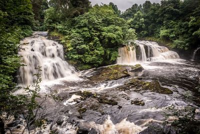 Scenic view of waterfall in forest