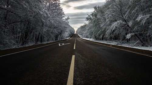 Road amidst bare trees