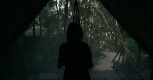 Rear view of silhouette man standing in forest