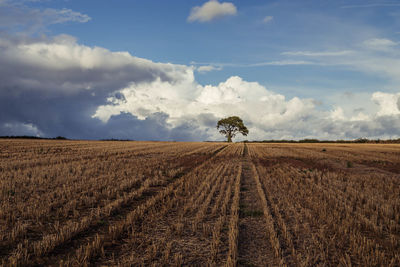 Hay bales on field against sky