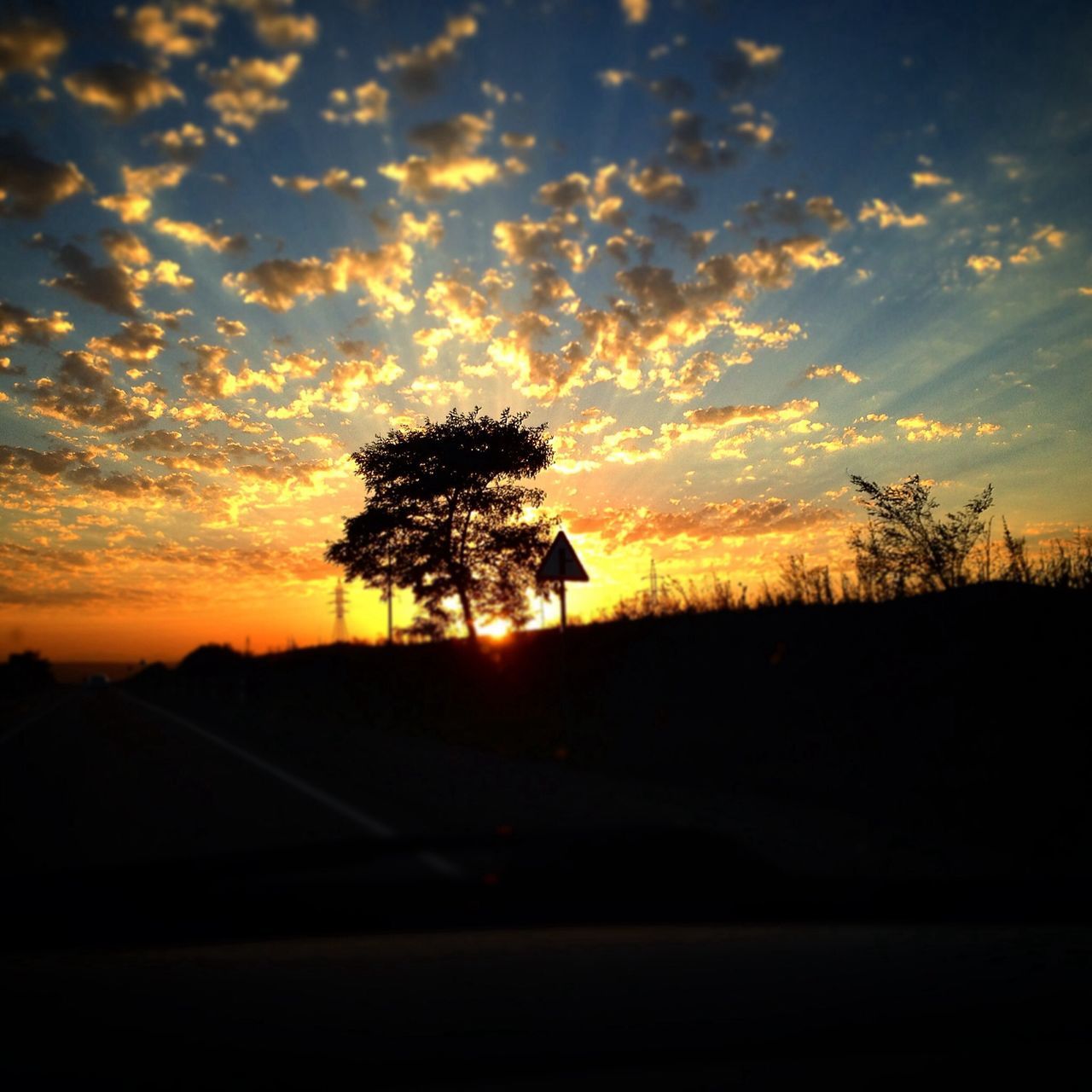 sunset, silhouette, tree, sky, tranquility, tranquil scene, scenics, landscape, beauty in nature, orange color, road, cloud - sky, nature, idyllic, cloud, field, transportation, the way forward, dramatic sky, outdoors