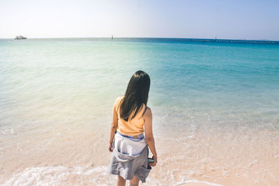 Rear view of man on beach against sky