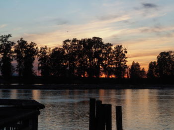 Silhouette trees by lake against sky during sunset