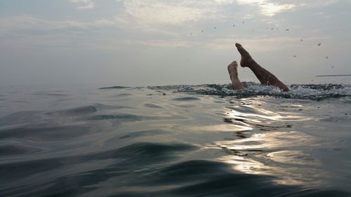 Low section of person swimming in sea