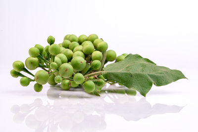 Close-up of fruit against white background