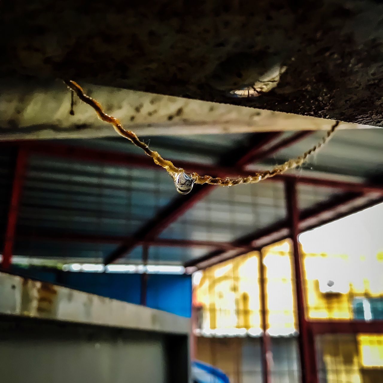 LOW ANGLE VIEW OF HOUSE HANGING ON CEILING OF BUILDING