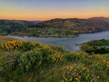 Scenic view of field against sky