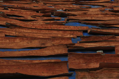 Full frame shot of logs in forest