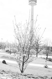 Bare trees on snow covered landscape against sky