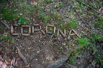 High angle view of text on field in forest