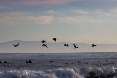 Seagulls flying over sea against sky