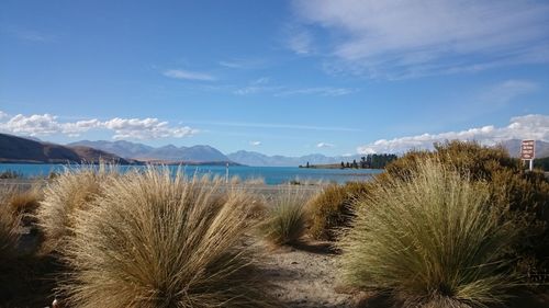 Scenic view of sea against blue sky