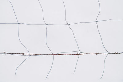 Barbed wire and fence isolated on a white background