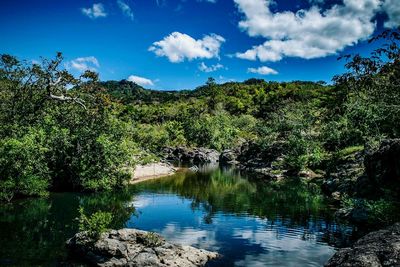 Scenic view of river in forest against blue sky