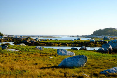 Scenic view of sea against clear sky