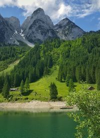 Scenic view of tree mountains against sky