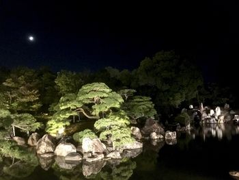 Scenic view of trees against sky at night