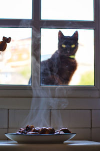 Black cat with green eyes staring at a mushroom plate from outside the window