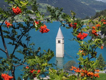 Lago di resia - italy view of building and plants against mountain