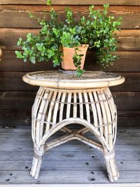 Close-up of potted plant on table