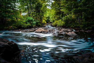 Idyllic view of stream flowing against trees at forest