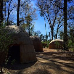 Built structure with trees in background