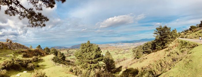 Panoramic view of trees on landscape against sky