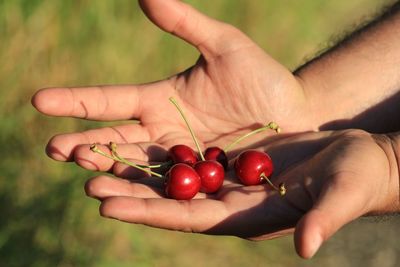 Close-up of man holding berry fruit