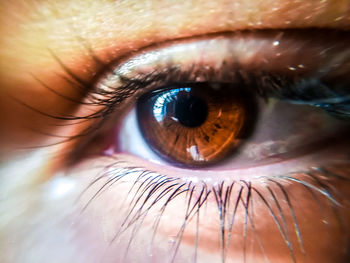 Extreme close-up of human eye