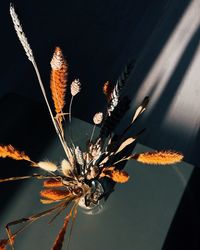 High angle view of flowers in vase on table