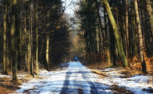 Road amidst trees in forest during winter