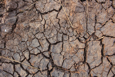 Full frame shot of cracked land