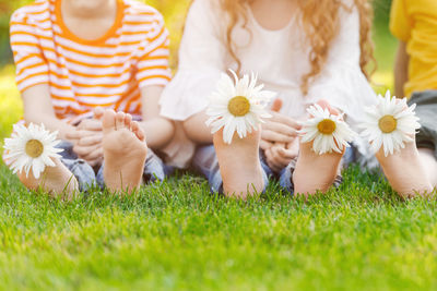 Children feet with daisy flower on green grass in a summer park.