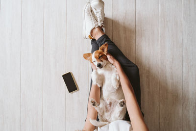 Directly above shot of woman playing with dog at home