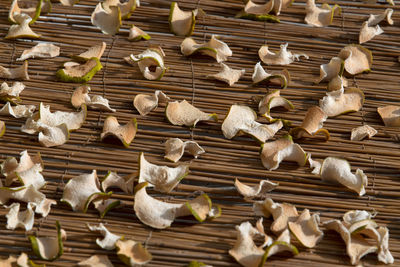 High angle view of drying fruit slices 