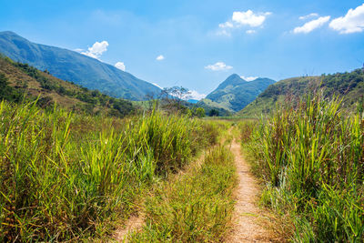 Tire track on grassy field by mountains against sky