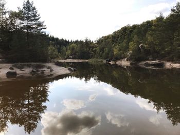 Reflection of trees in forest against sky